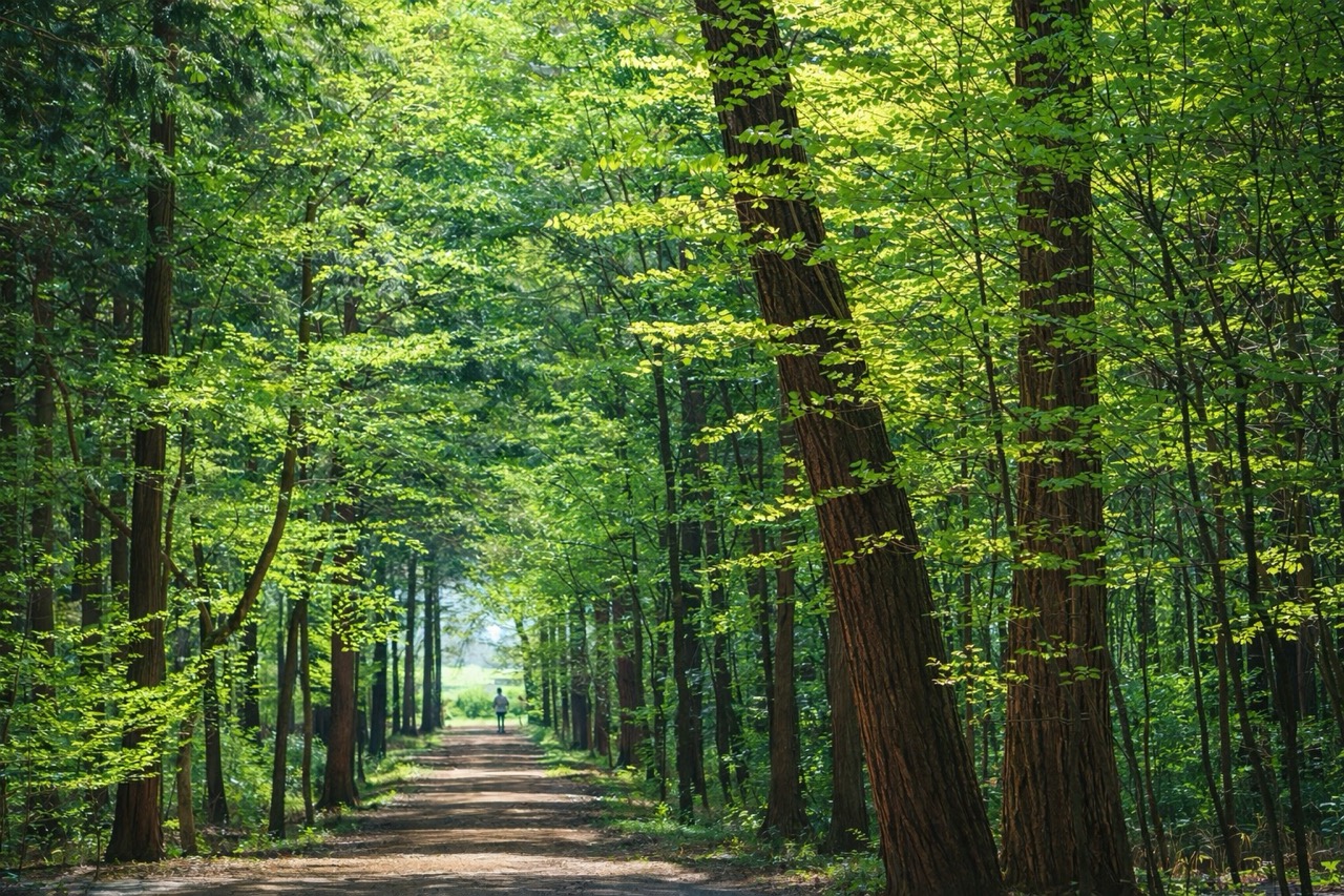 大芝高原みんなの多様性の森づくりプロジェクト